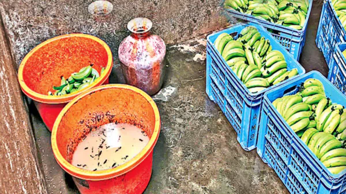 నిషేధిత కార్బైడ్‌తో పండ్లు- తింటే కడుపులో పుండ్లు