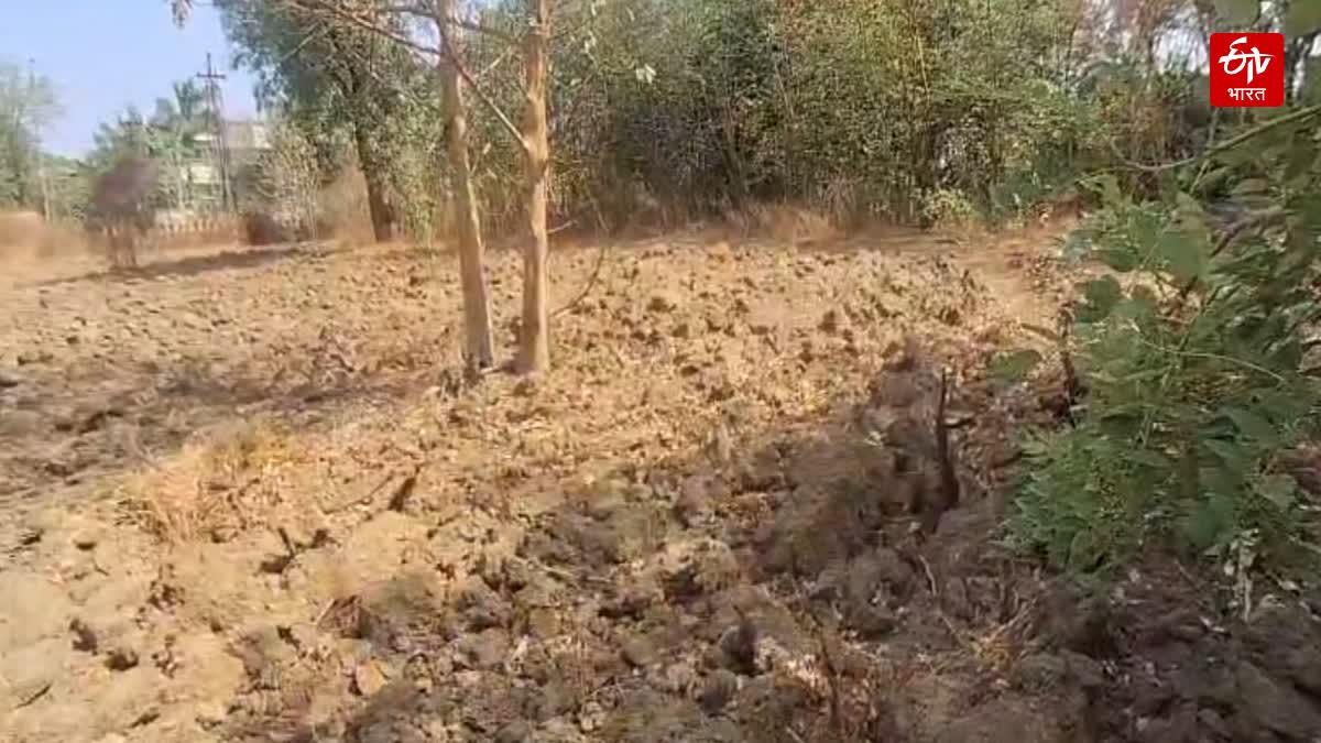 एल निनोचा वाढता धोका
