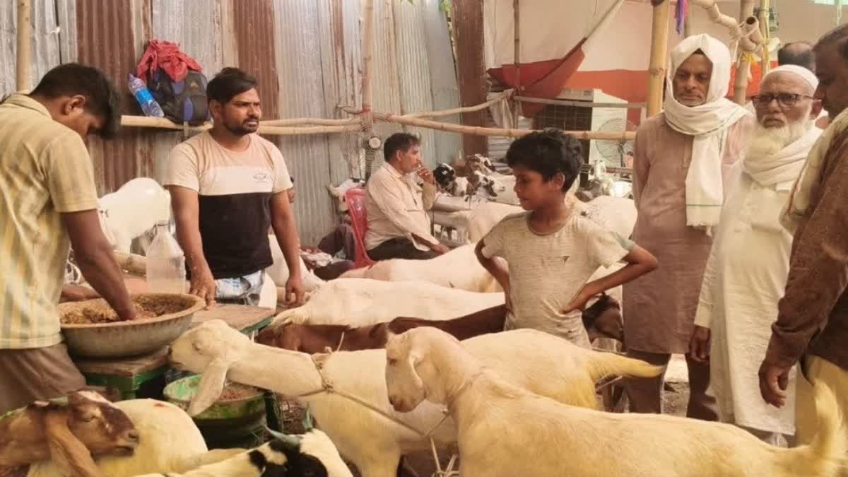 اتر پردیش میں بقرعید کی چھٹی تبدیل کی گئی، اب 28 مئی کو عام تعطیل