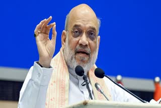 Shah announces high level panel
