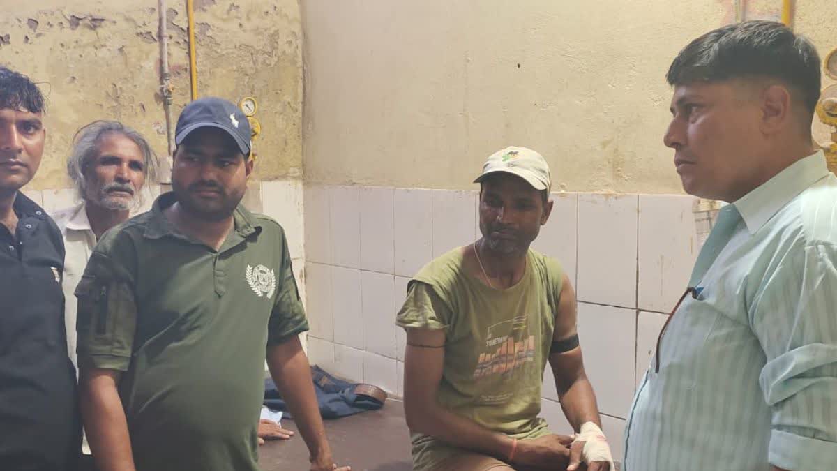 Tiger Attack in Dholpur