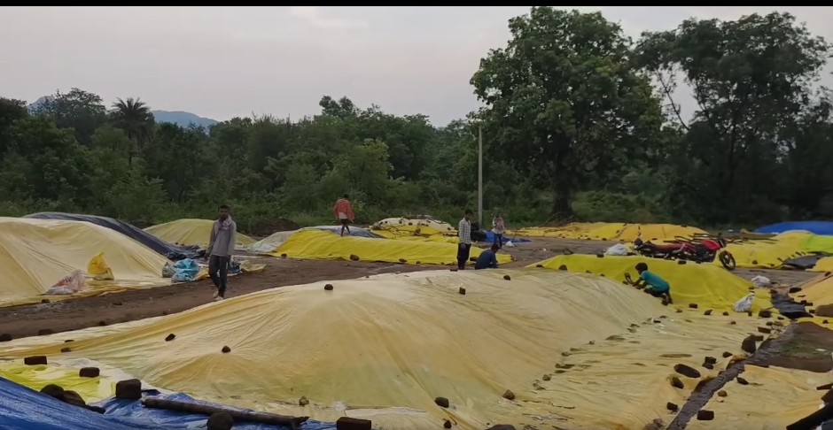 Mandi problem in Kalahandi district, paddy soaked in rain