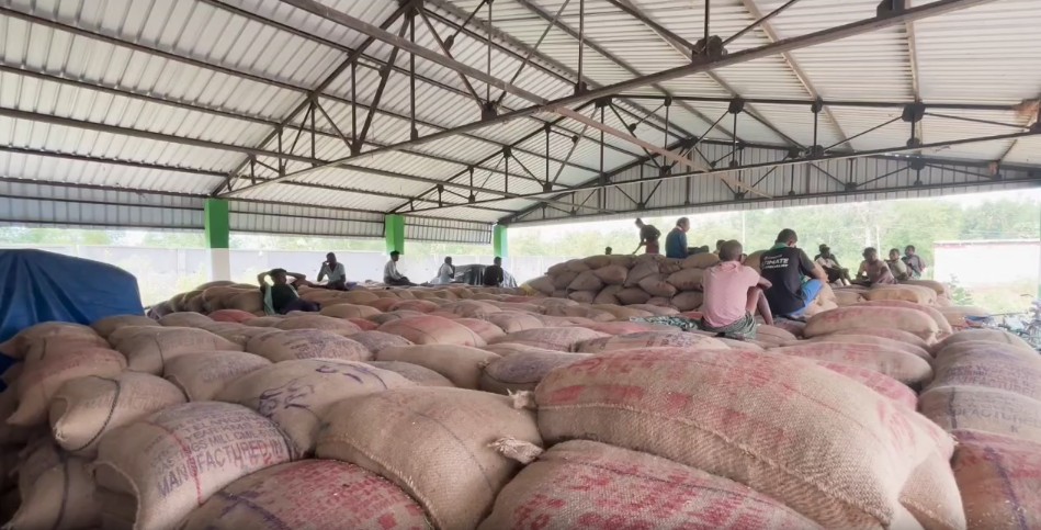 Mandi problem in Kalahandi district, paddy soaked in rain
