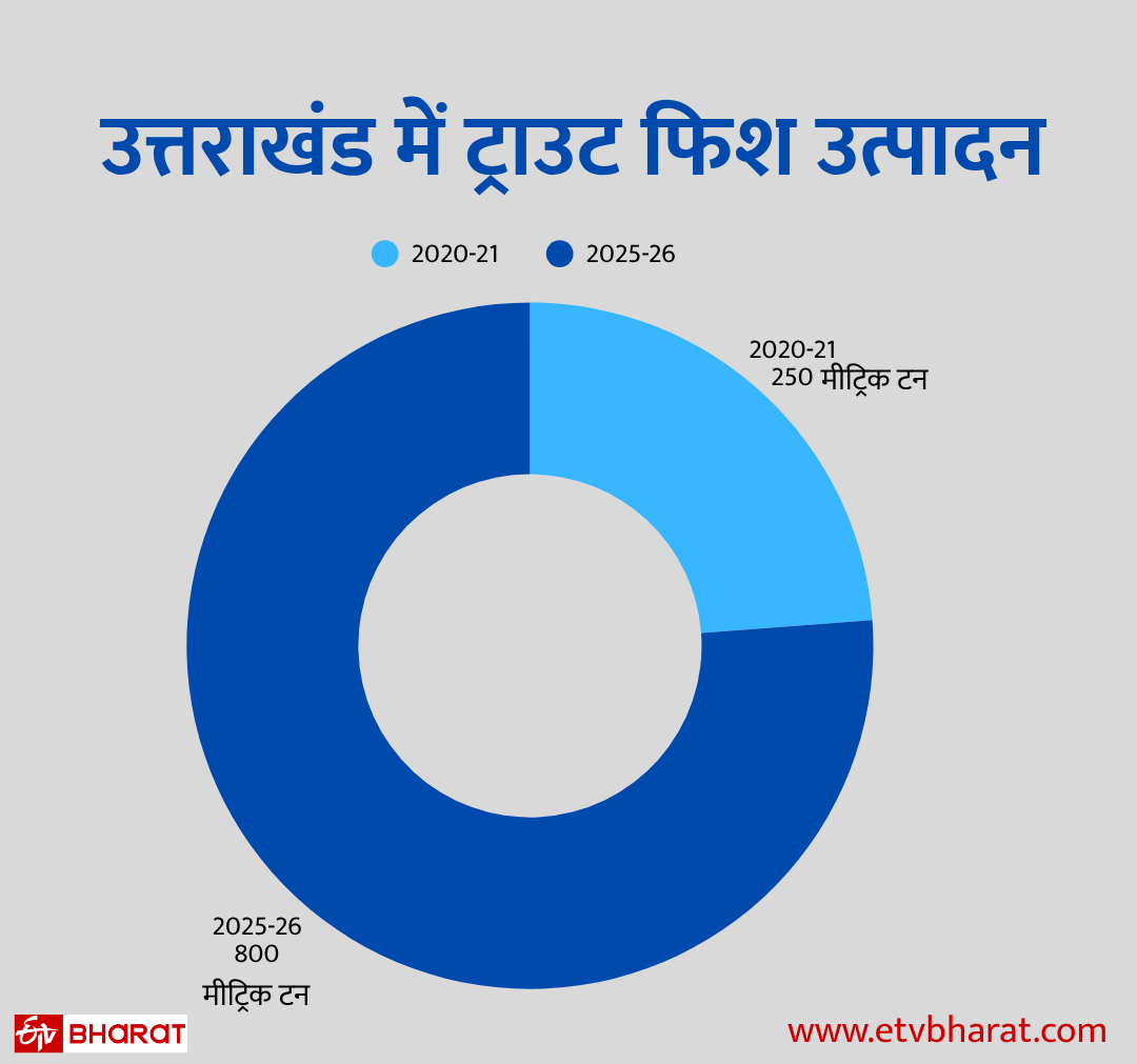 Trout Fish Farming in Uttarakhand