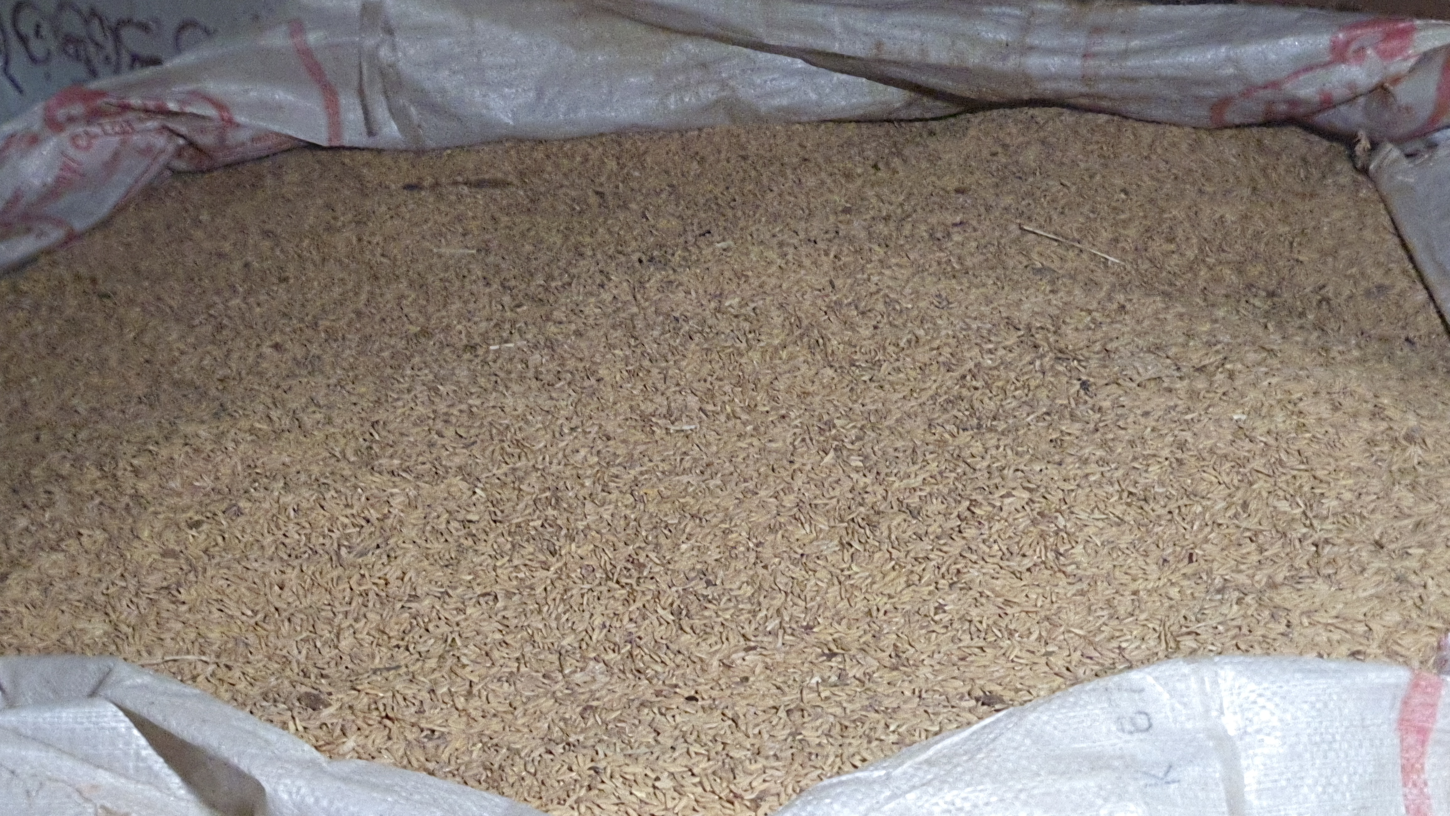 sambalpur tribal grain bank Paddy bank