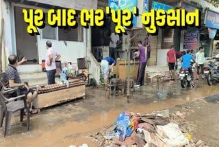 નવસારીમાં પૂર બાદ ઠેર ઠેર તારાજીના દ્રશ્યો