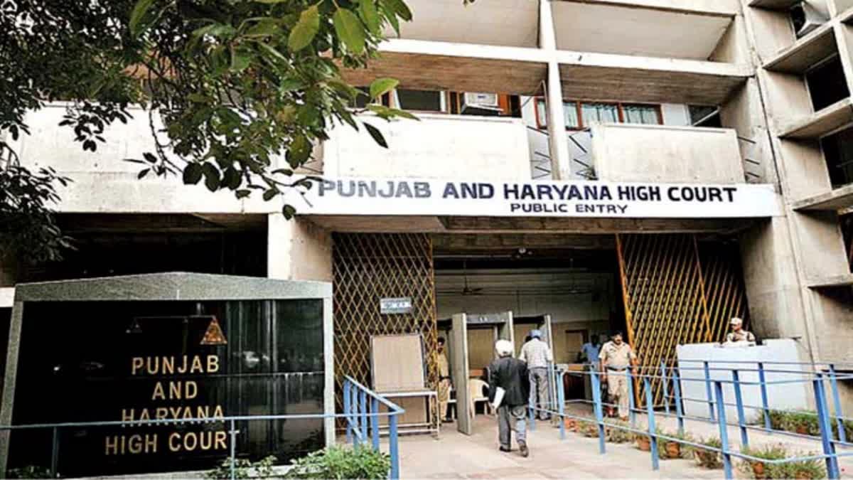 PUNJAB HARYANA HIGH COURT