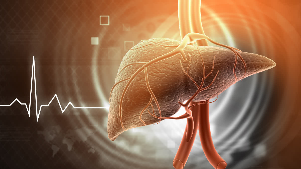 PROBLEMS CAUSED BY FATTY LIVER