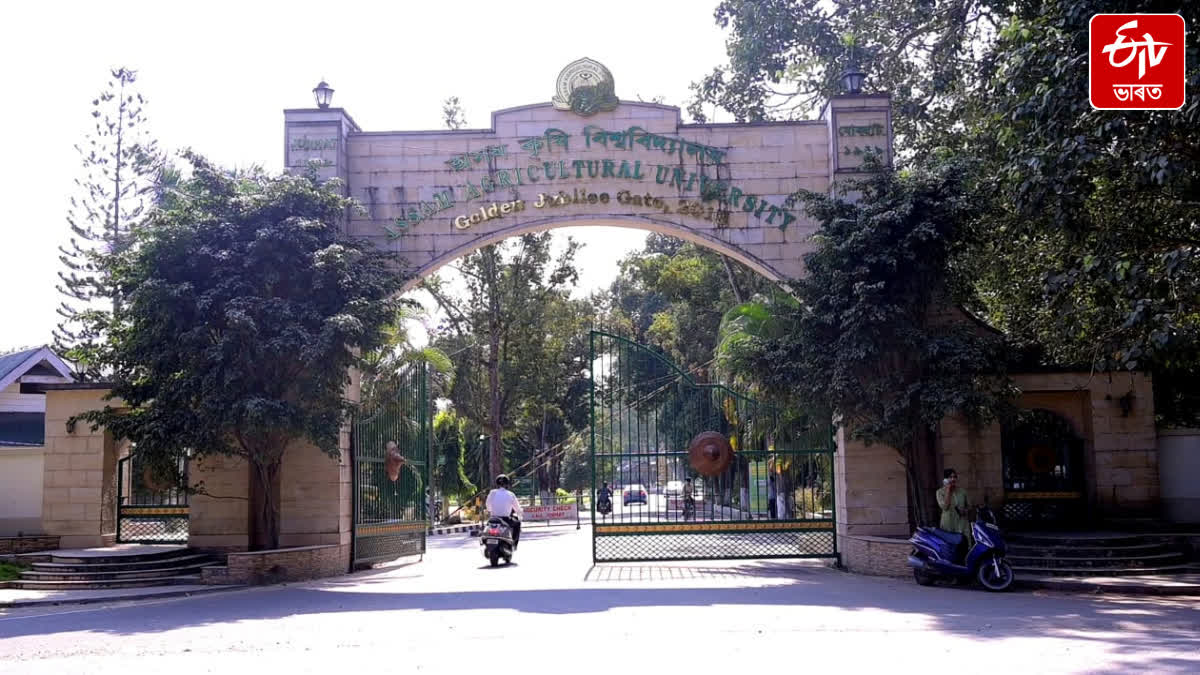 ASSAM AGRICULTURAL UNIVERSITY