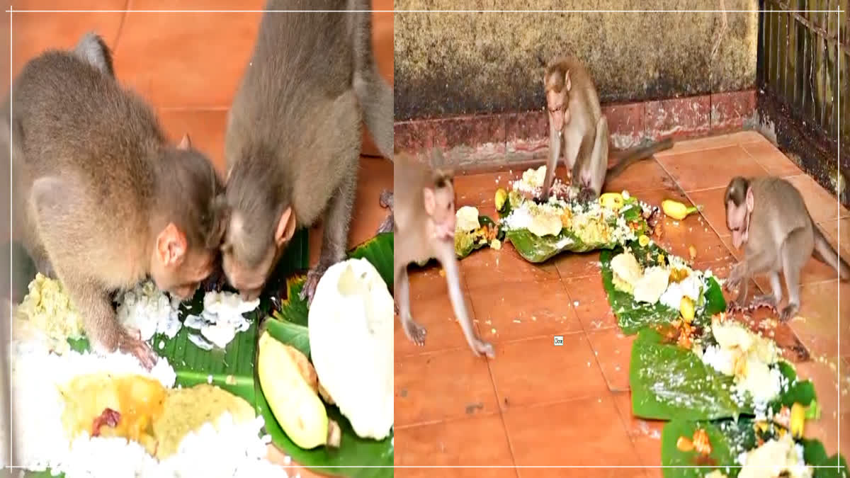 MONKEYS GRAND ONAM SADHYA