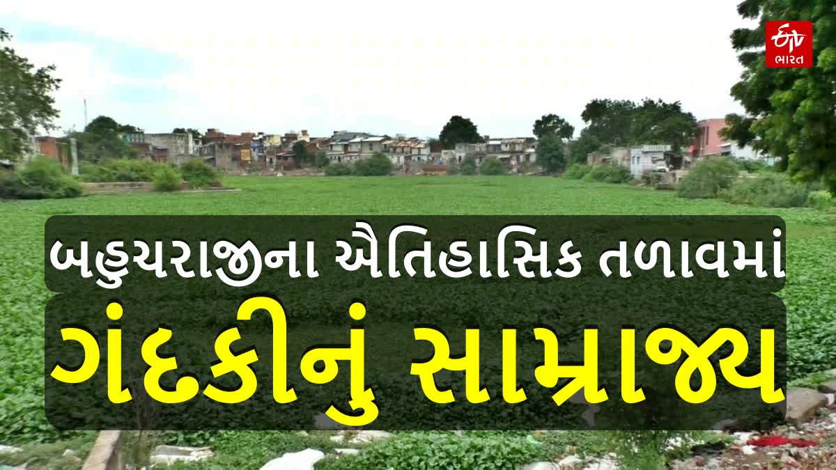 બહુચરાજીનું ઐતિહાસિક બાંધલિયા તળાવ ગંદકી અને જળકુંભીથી ખદબદી ઊઠ્યું