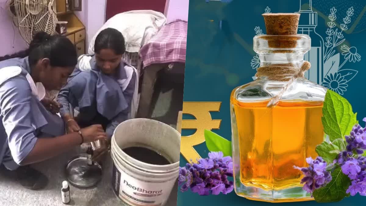 Haryana Schoolgirls Herbal Startup