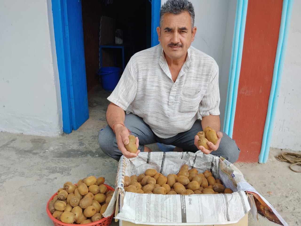 Kiwi Farming MAN SINGH CHAUHAN