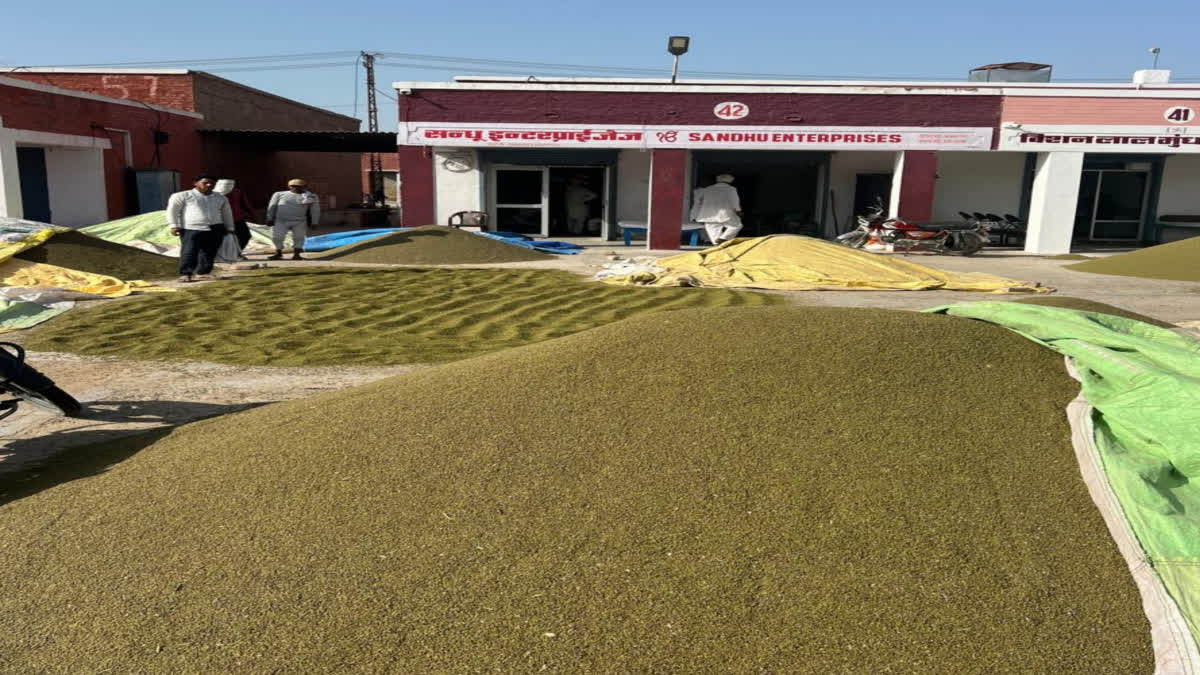 purchasing at minimum support price