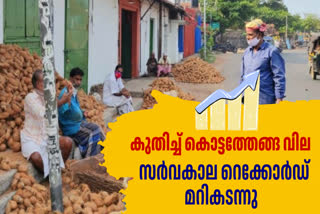 KOTTATHENGA PRICE HIKE  കൊട്ടത്തേങ്ങ വില  HOW TO MAKE DRY COCONUT  LATEST NEWS IN MALAYALAM