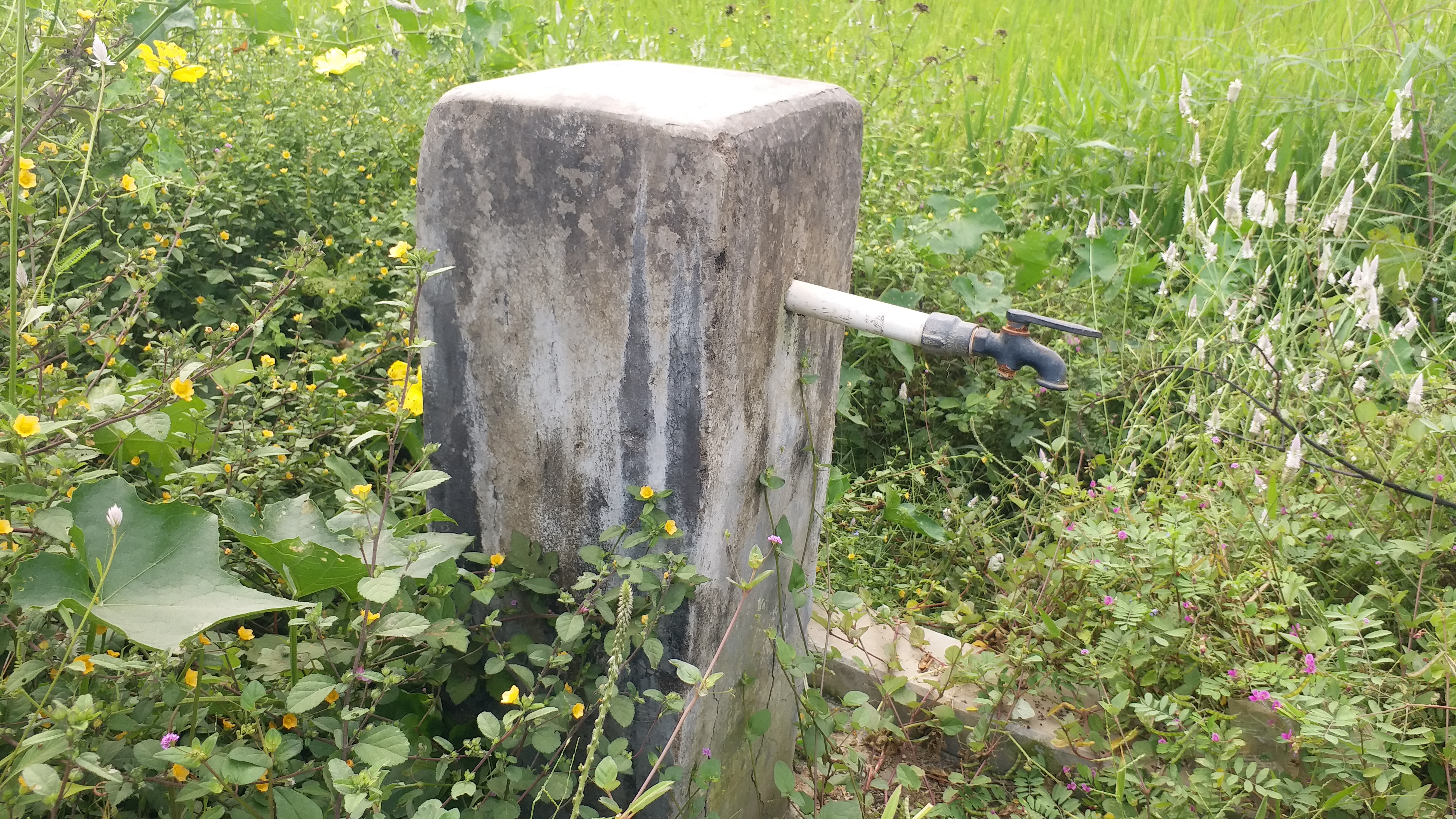 mahalikapada panchayat