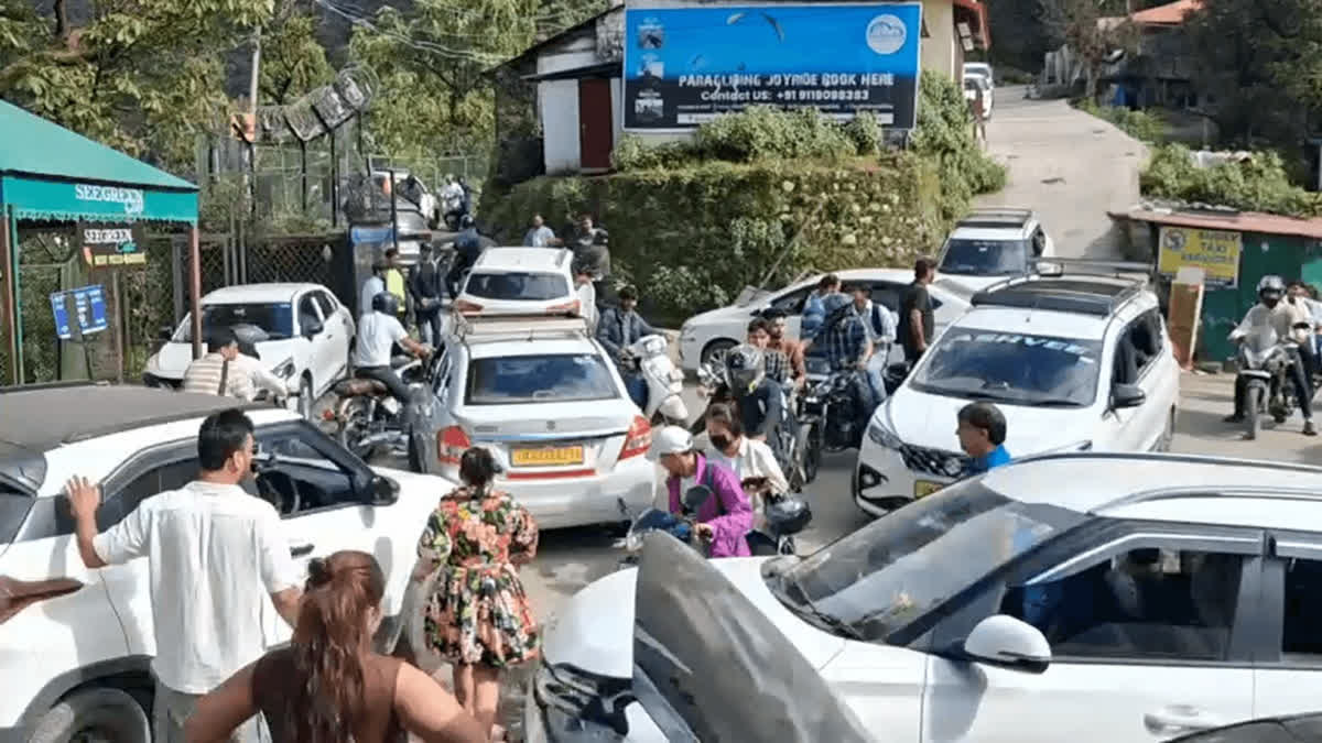 'Queen Of Hills' Mussoorie Gasps For Breath As NGT Recommendations To ...