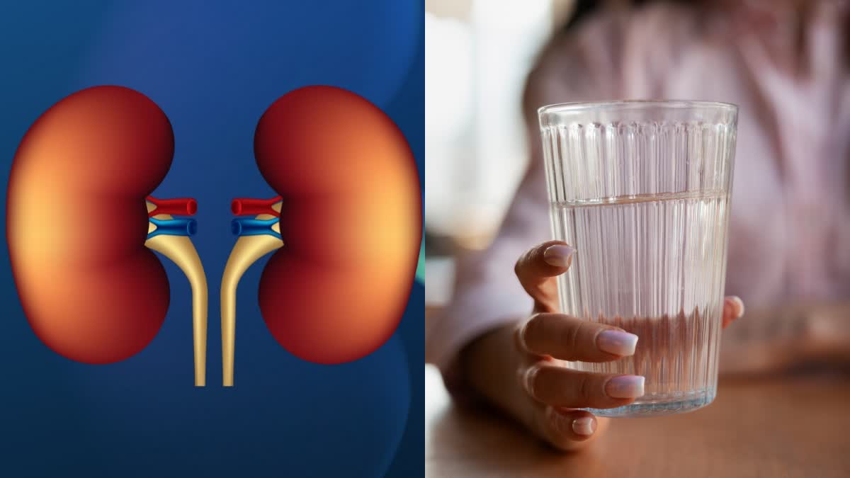 WINTER KIDNEY HEALTH