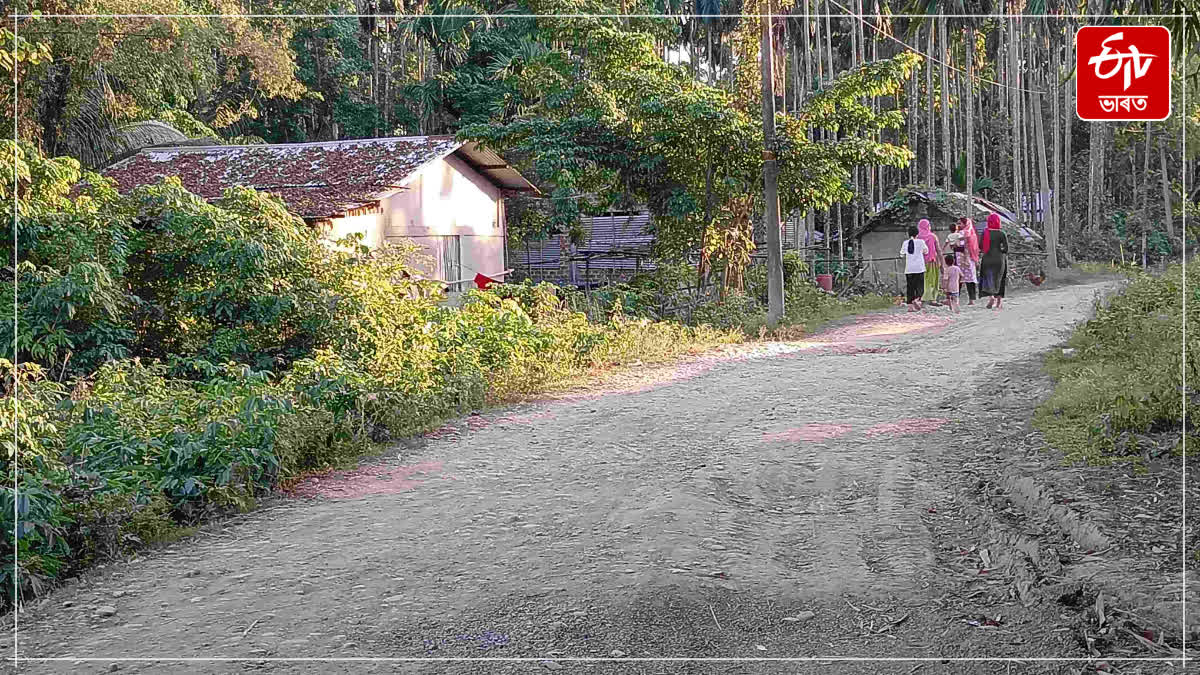 Forest Department has resumed surveys in Uriamghat on the Assam-Nagaland border