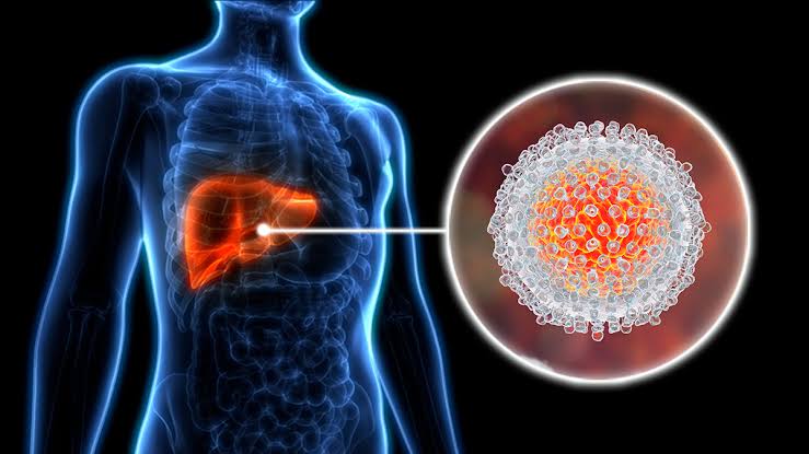 Hepatitis A, B, and C are dangerous for the liver. Learn at what stage liver damage is difficult to control.