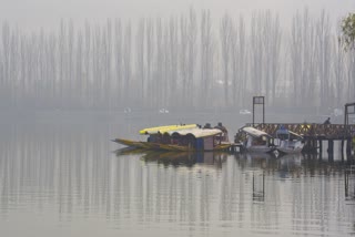 Shikaras anchored in the Dal Lake on a cold winter morning in Srinagar, Jammu and Kashmir