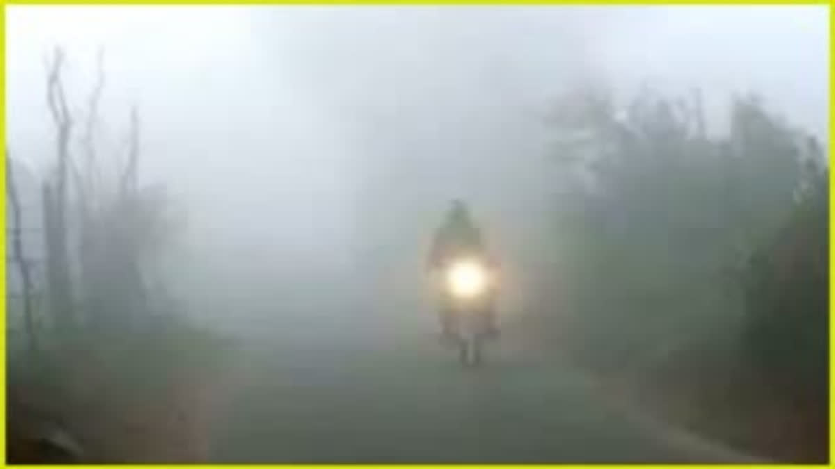 हरियाणा में घने कोहरे का कोहराम