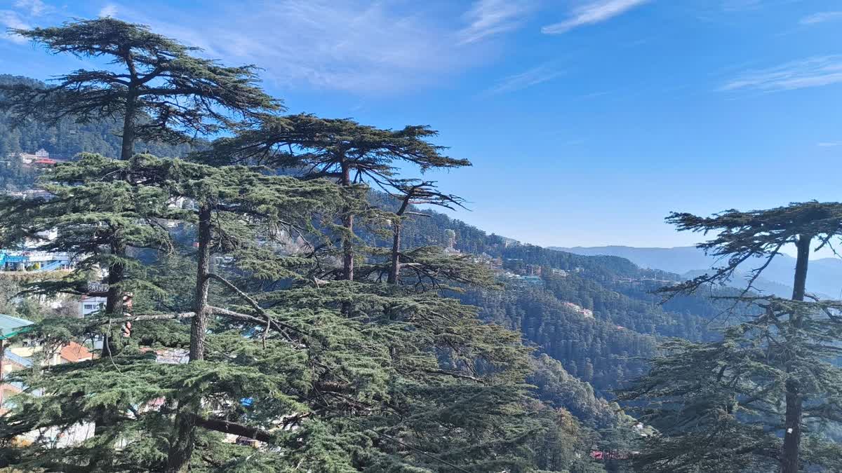 Himachal Weather Update