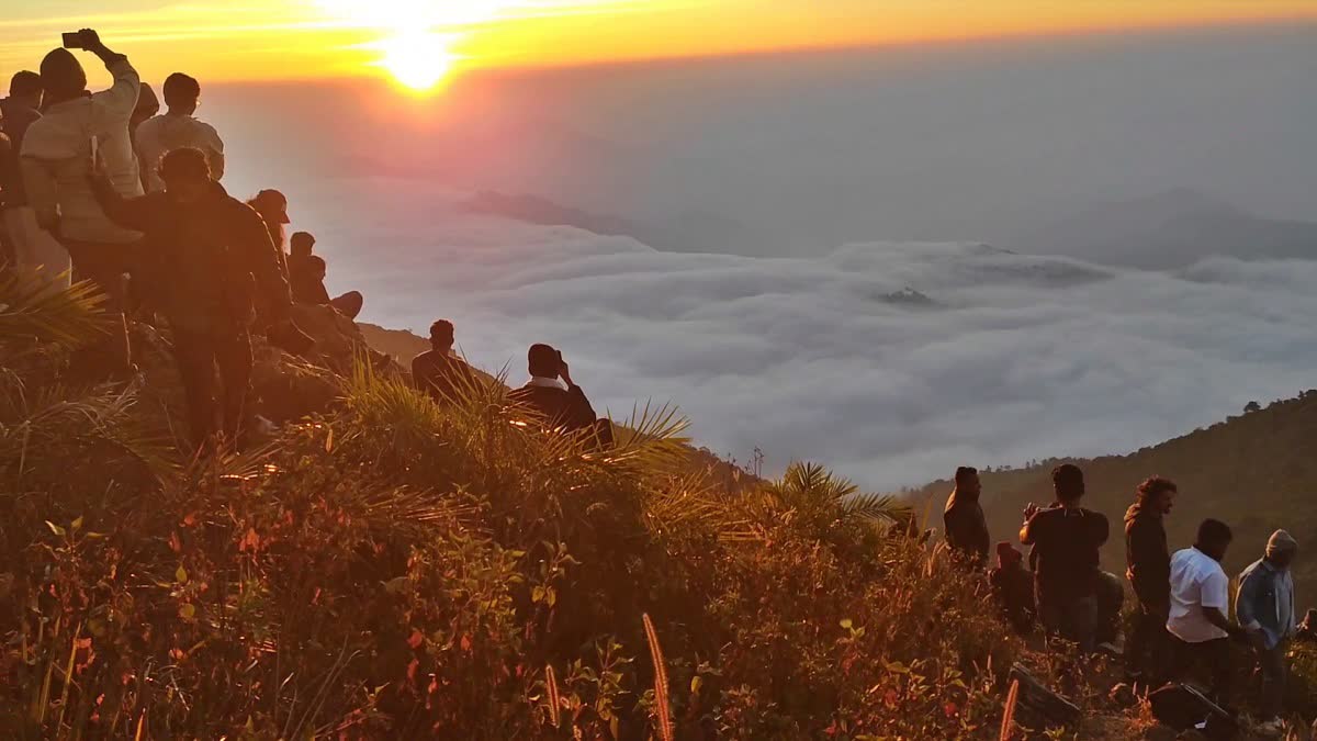 Huge Tourists at Vanjangi Hills of Paderu
