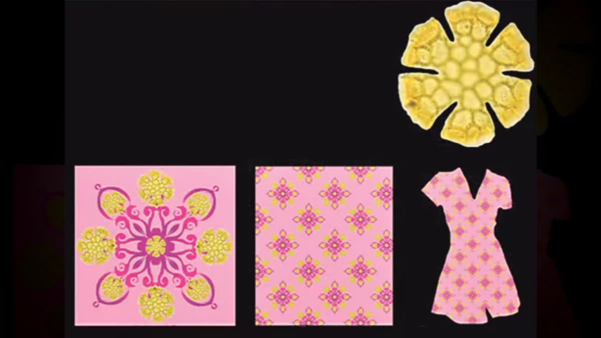 Handloom And Silk Sarees