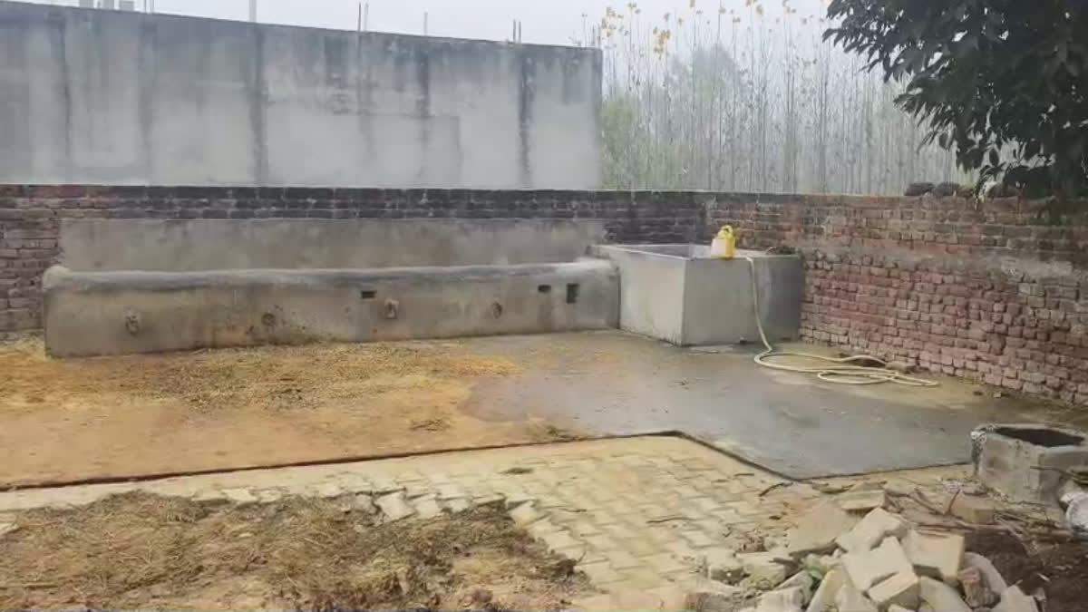 Sarpanch Wife Murder in Yamunanagar