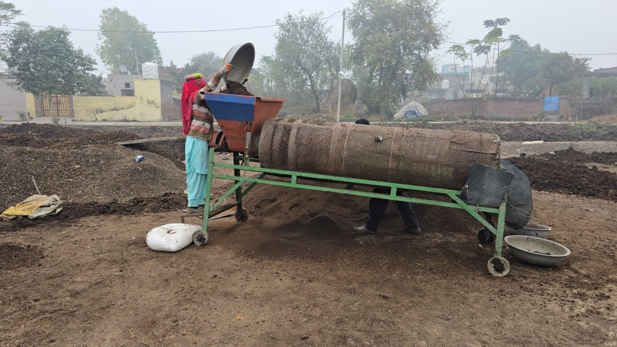 The Power Of An Idea: How A Kurukshetra Couple's Vermicompost Venture Transformed Their Fortune Vermicompost