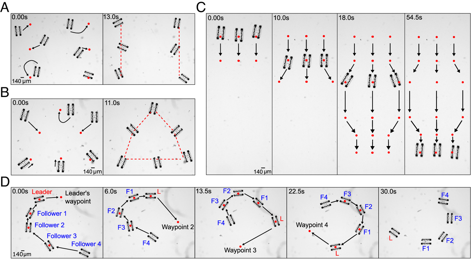 Addressability and swarming behavior enabled by circuits. (A and B) The control program can be given a list of target positions in order to guide each robot to its nearest waypoint. (C) Robots can be assigned individual lists of waypoints in order to trace out separate paths in unison. (D) Waypoints can also be dynamic and change at each timestep. Shown in blue, “follower” robots are assigned the location of another robot in the system as a waypoint. This rule results in chain-like structures following the “leader,” shown in red.
