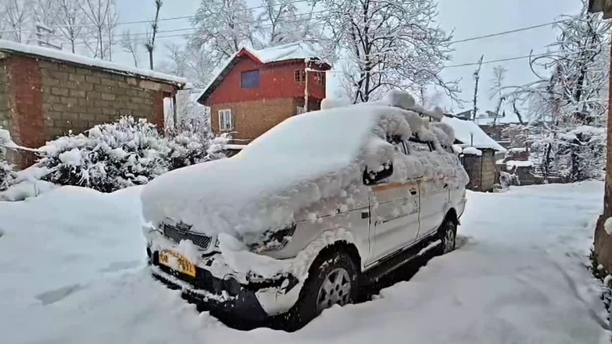 Kashmir Weather Update: Valley Sees 2nd Spell Of Snowfall; All Flights Cancelled, Highway Shut Kashmir Weather Update Tourists Elated As Valley Sees Second Spell Of Snowfall Several Flights Cancelled Highway Shut