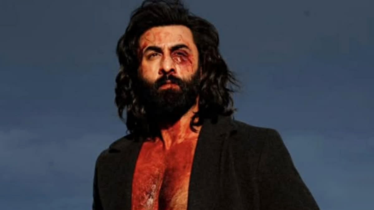 Will Animal Become A Three-Part Franchise? Ranbir Kapoor Reveals