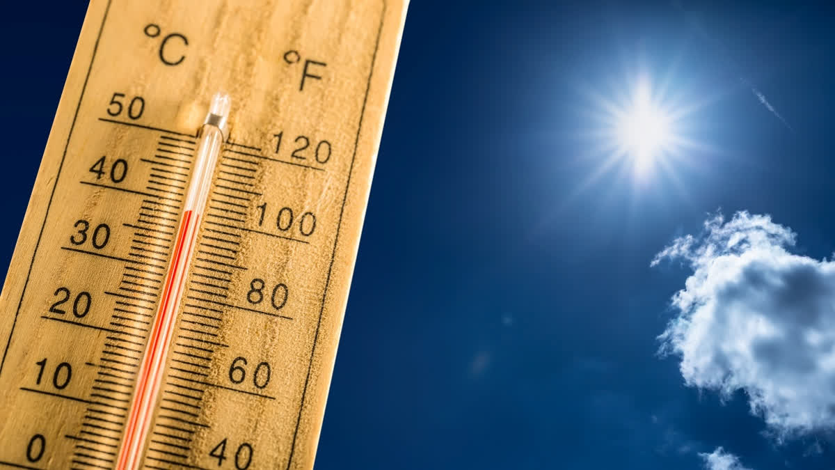 Almost Half The World's Population Will Be Living In Extreme Heat By The Year 2050 Climate study