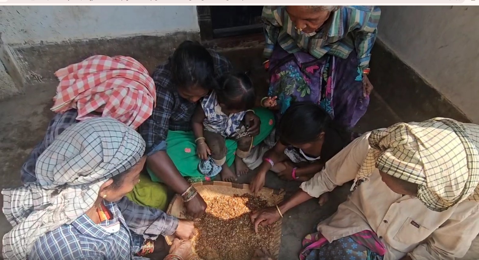 Why Gajapati Tribals In Odisha Rely On Red Ant Chutney As A Winter Immunity Booster