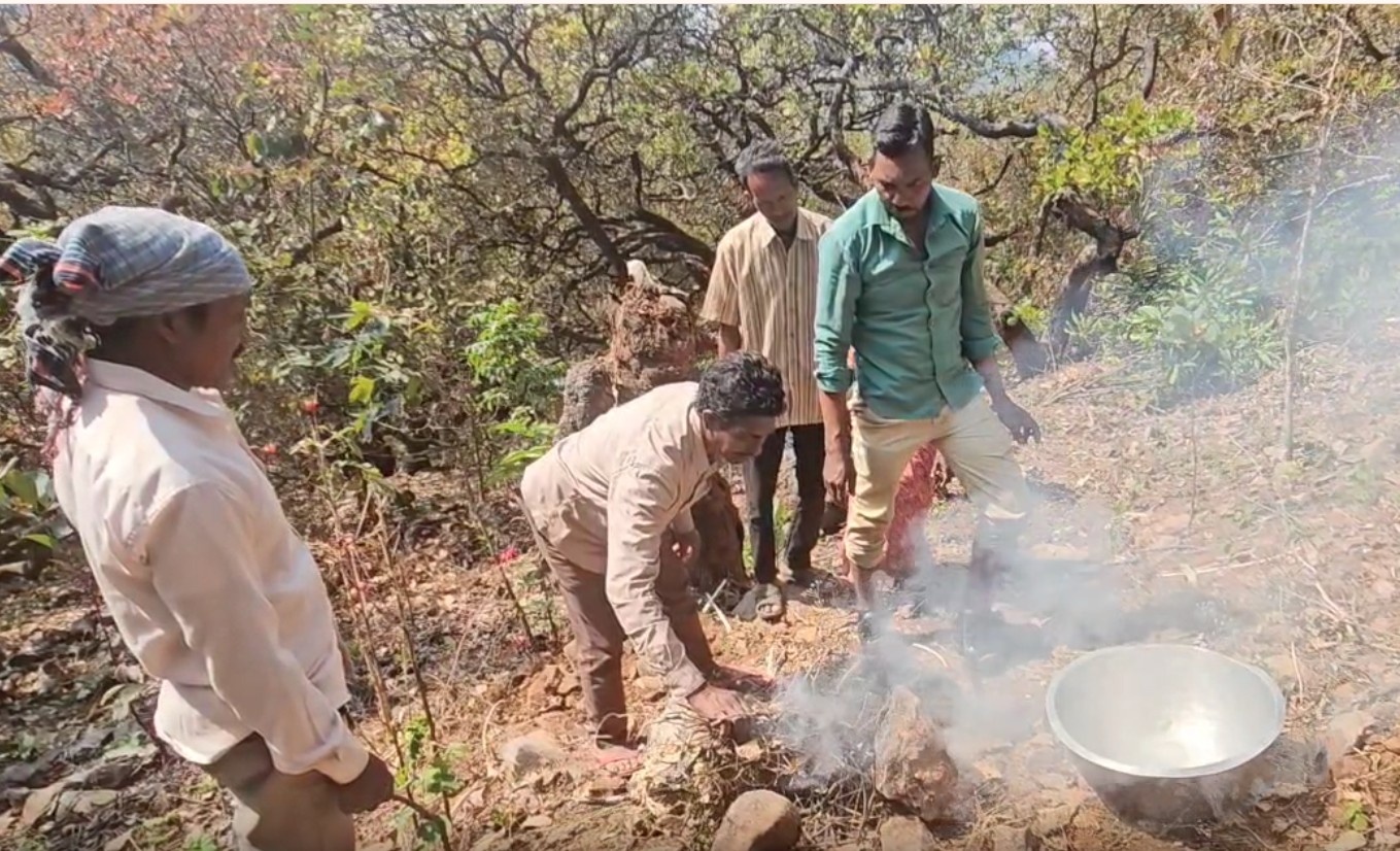 Why Gajapati Tribals In Odisha Rely On Red Ant Chutney As A Winter Immunity Booster