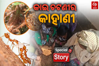 tribal food kai chutney