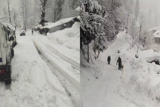 Snowfall in Manali