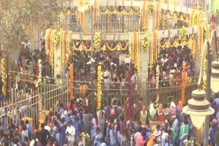 Medaram Maha Jatara Celebration 2026