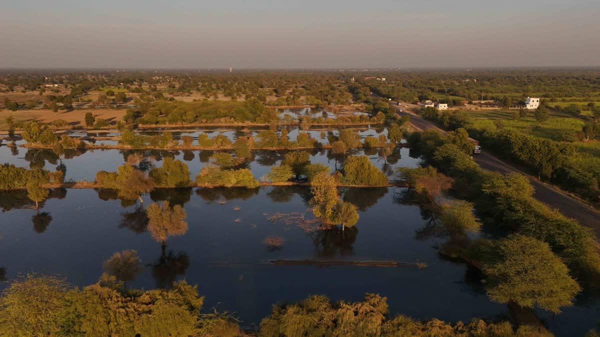 खबर का असर : जोजरी नदी को फिर से मिलेगा 'जीवन', सरकार खर्च करेगी 176 करोड़ रुपए