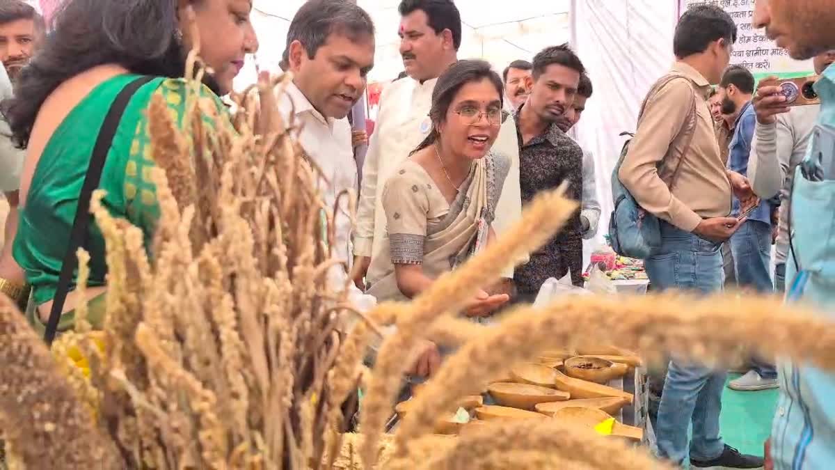 CHHINDWARA MILLET FOOD FESTIVAL