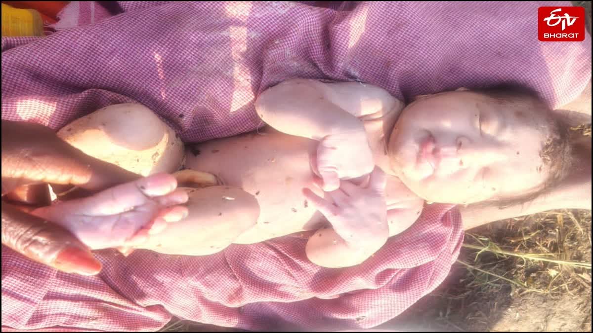 मिर्जापुर : झाड़ियों में जिंदा मिली नवजात.