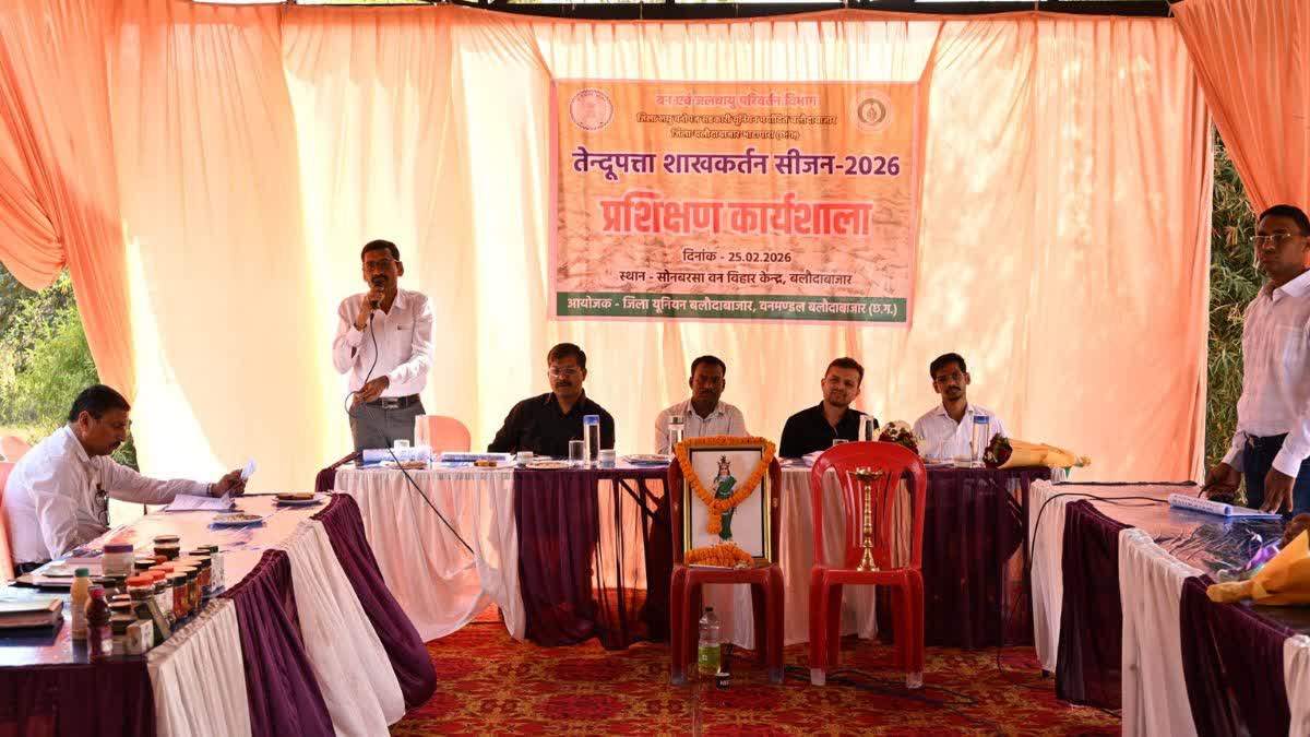 Tendu Leaf Collection