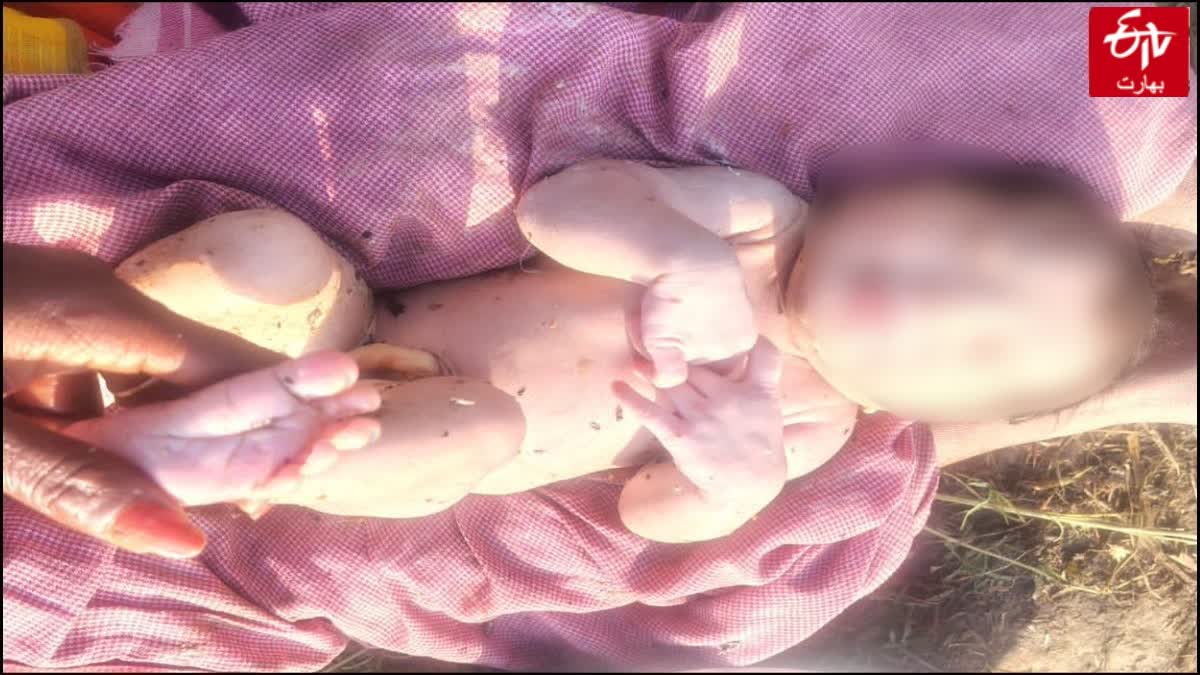 انسانیت مر چکی ہے۔ جھاڑی میں نومولود زندہ برآمد، رونے کی آواز سن کر گاؤں والوں نے پولیس کو بلالیا۔