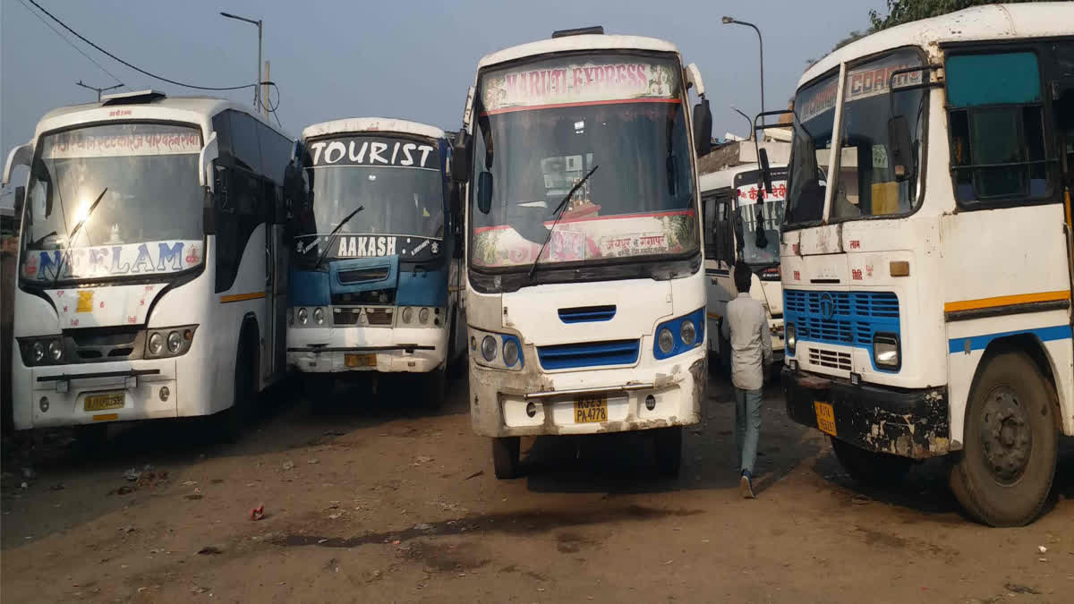 Private buses parked in Jaipur