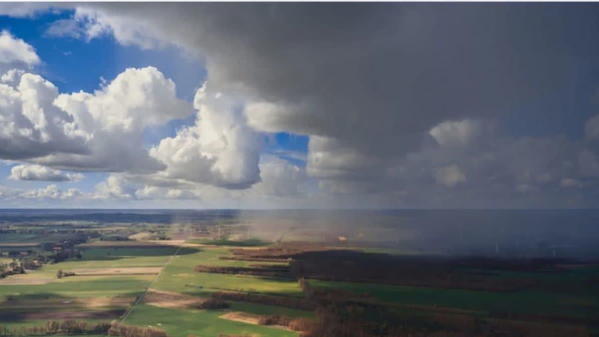 HARYANA WEATHER UPDATE