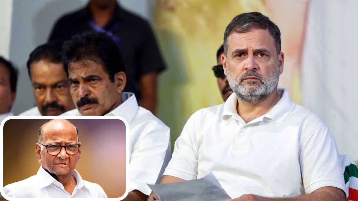 Sharad Pawar keen to go to Rajya Sabha from Maharashtra