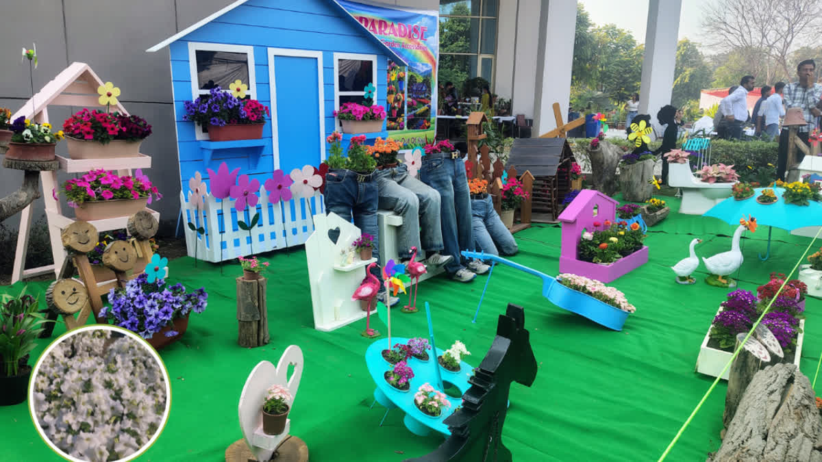 ਖੇਤੀਬਾੜੀ ਯੂਨੀਵਰਸਿਟੀ ’ਚ ਲੱਗਿਆ ਫੁੱਲਾਂ ਦਾ ਮੇਲਾ, ਮਾਹਰਾਂ ਨੇ ਕਿਸਾਨਾਂ ਨੂੰ ਦਿੱਤਾ ਇਹ ਸੁਝਾਅ Flower fair in ludhiana PAU