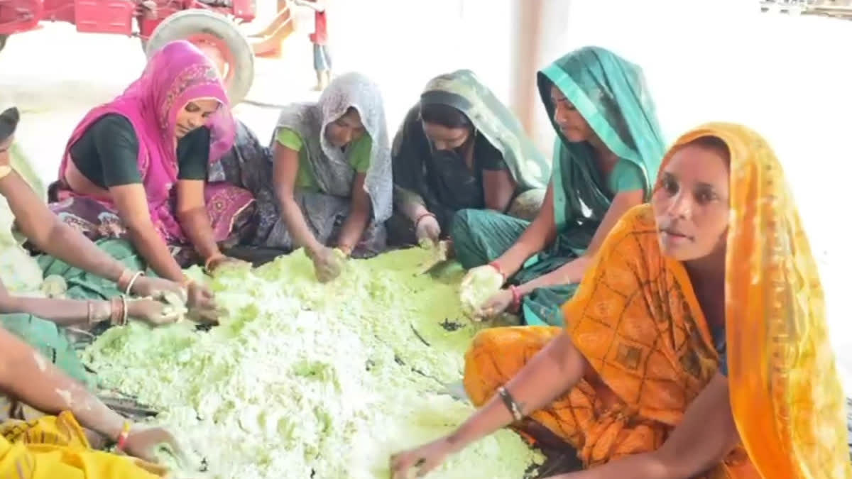 herbal gulal from Palash flowers